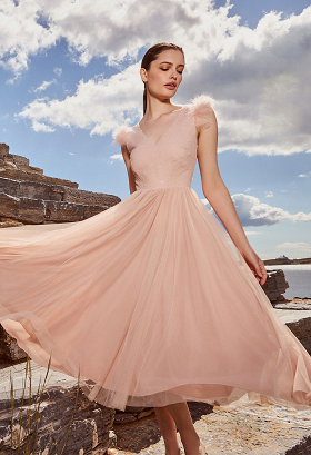 Tulle dress with feathers