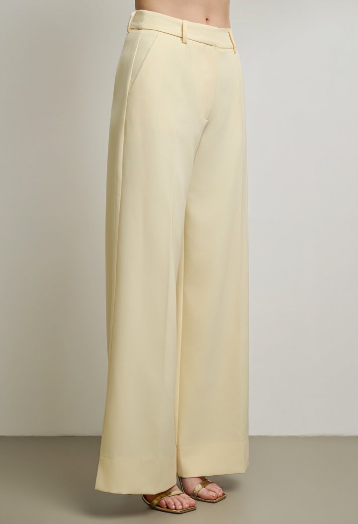 Pleated fabric trousers