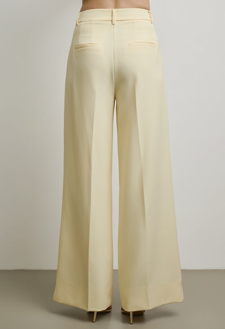 Pleated fabric trousers