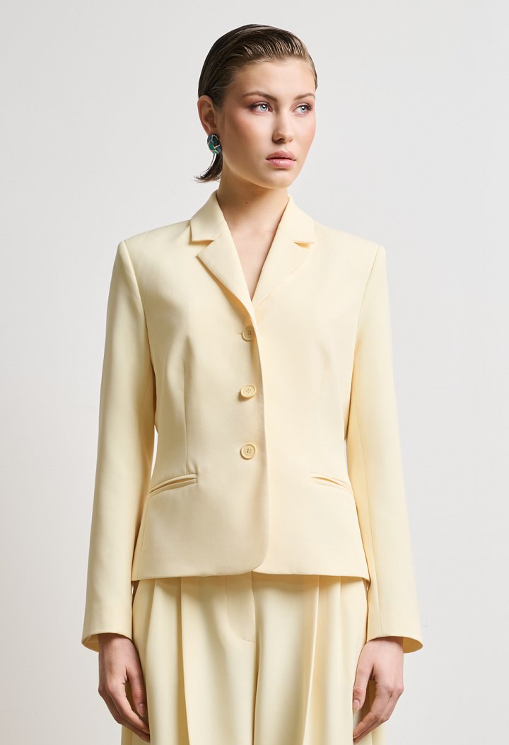 Μεσάτο blazer