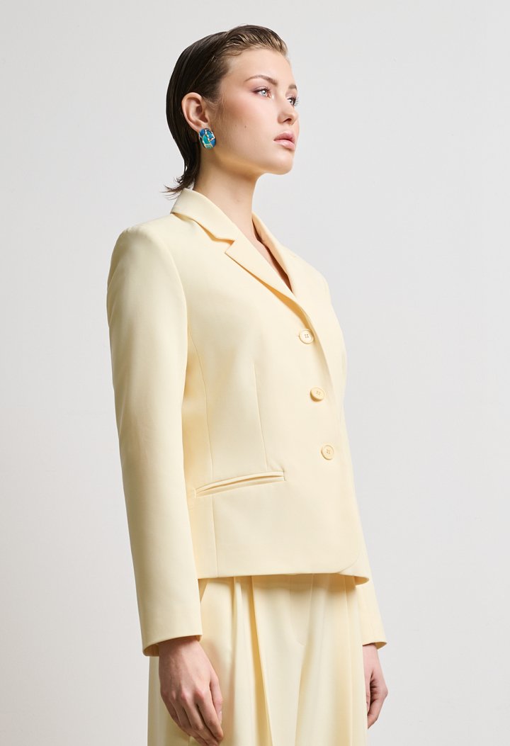 Μεσάτο blazer