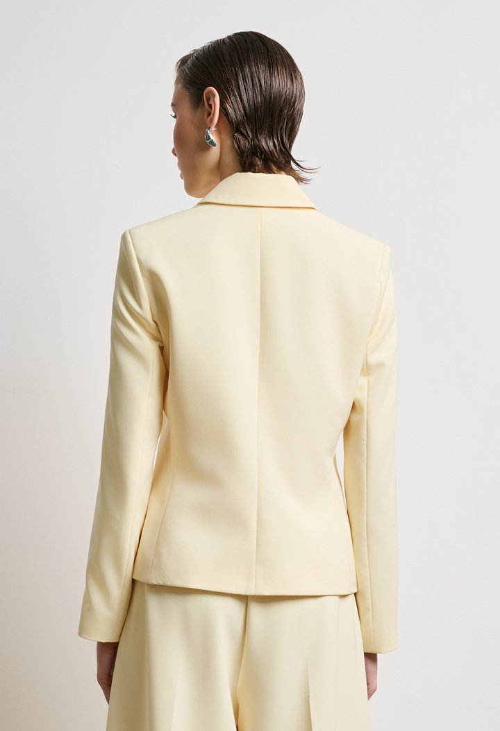 Μεσάτο blazer