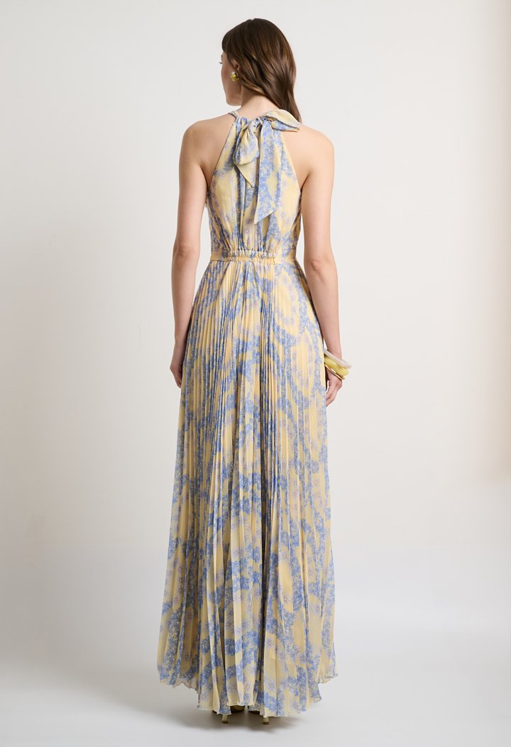 Pleated maxi dress with print and halter neckline