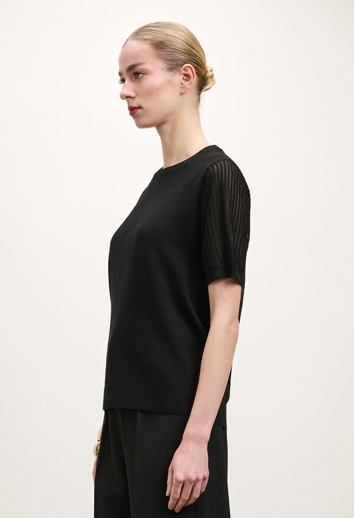 Knit top with sheer sleeves